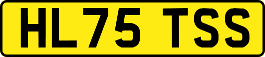 HL75TSS