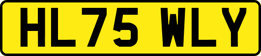 HL75WLY