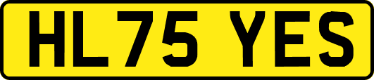 HL75YES