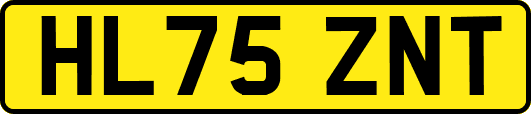 HL75ZNT