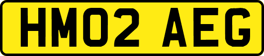 HM02AEG