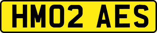 HM02AES