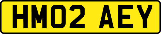 HM02AEY