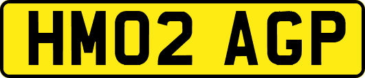 HM02AGP