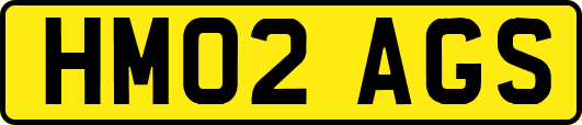 HM02AGS