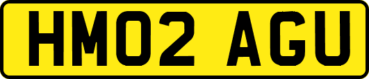HM02AGU