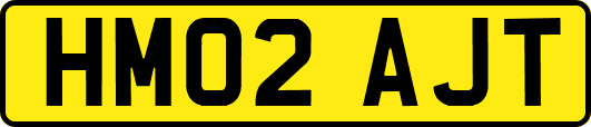 HM02AJT