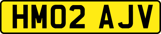 HM02AJV