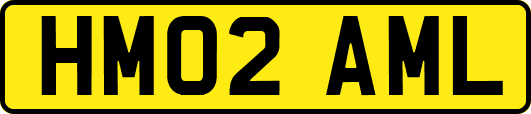 HM02AML