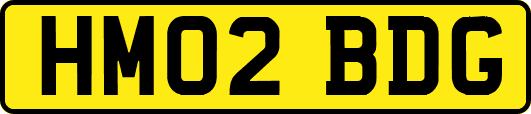 HM02BDG