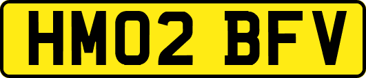 HM02BFV