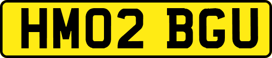 HM02BGU