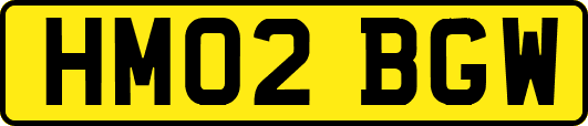 HM02BGW