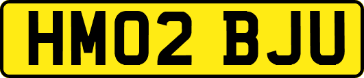 HM02BJU