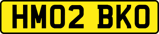 HM02BKO