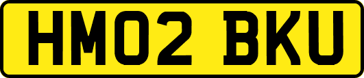 HM02BKU