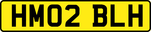 HM02BLH