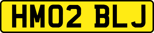 HM02BLJ