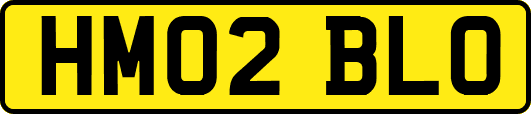 HM02BLO