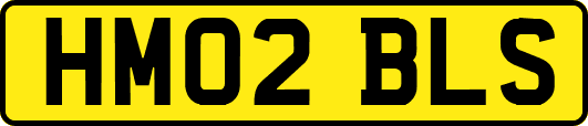 HM02BLS