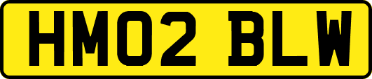 HM02BLW