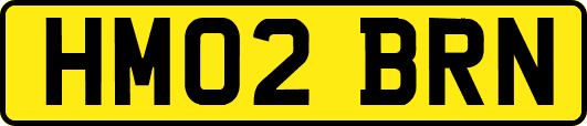 HM02BRN