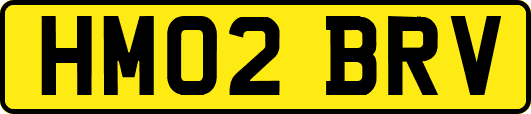 HM02BRV