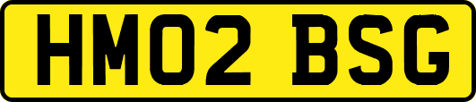 HM02BSG