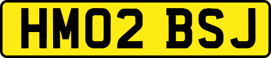 HM02BSJ
