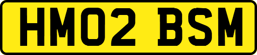 HM02BSM