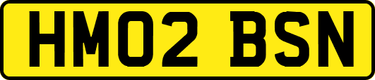 HM02BSN