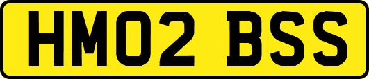 HM02BSS