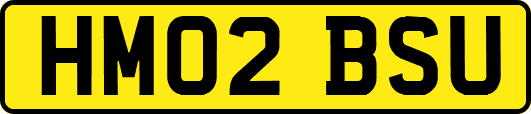 HM02BSU