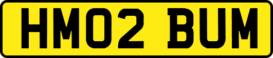 HM02BUM