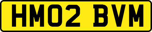 HM02BVM