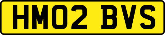 HM02BVS
