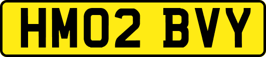 HM02BVY