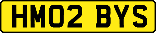 HM02BYS