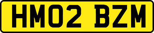 HM02BZM