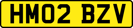 HM02BZV