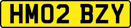 HM02BZY