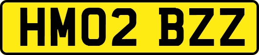 HM02BZZ