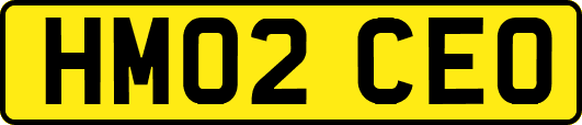 HM02CEO