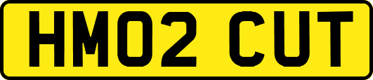 HM02CUT