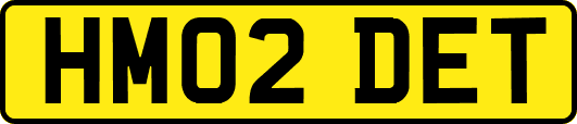 HM02DET