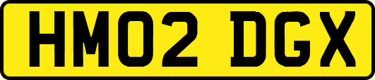 HM02DGX