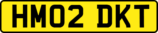HM02DKT