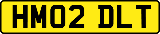 HM02DLT