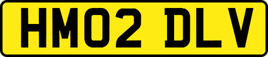 HM02DLV