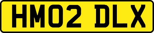 HM02DLX